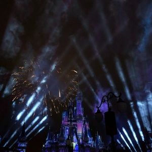 Meet your Posher, Ivy